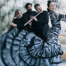 Camerata Flamenco Project
